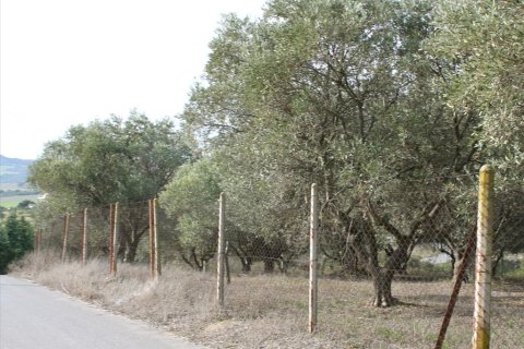 6869m² Land à Thermi, Greece No. 60551 5