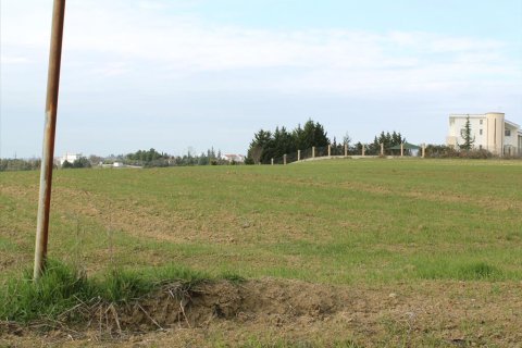 153200m² Land in Thessaloniki, Greece No. 60555 3