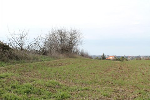 153200m² Land in Thessaloniki, Greece No. 60555 4