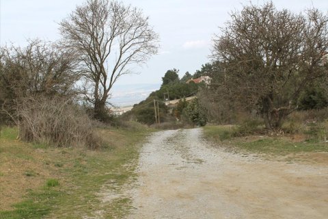 153200m² Land in Thessaloniki, Greece No. 60555 5