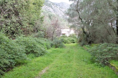 5000m² Land en Corfu, Greece No. 60556 4