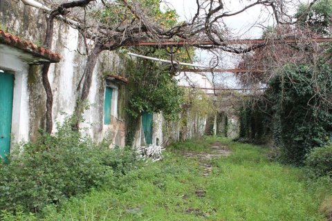 5000m² Land à Corfu, Greece No. 60556 2