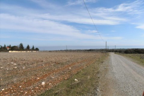 35000m² Land en Dion, Greece No. 60550 3