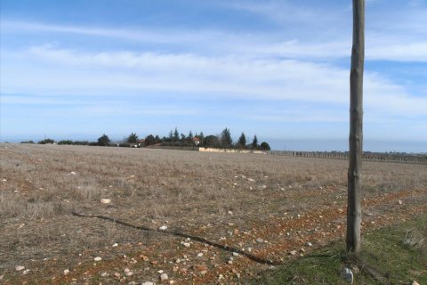 35000m² Land à Dion, Greece No. 60550 2