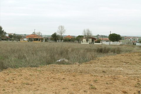 2993m² Land in Chalkidiki, Greece No. 60554 1