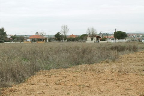 2993m² Land en Chalkidiki, Greece No. 60554 4