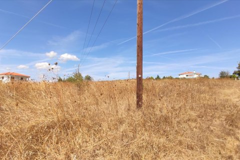 3100m² Land in Chalkidiki, Greece No. 56468 2