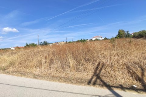 3100m² Land en Chalkidiki, Greece No. 56468 3