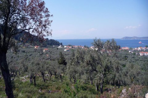 18250m² Land in Thasos, Greece No. 60441 2