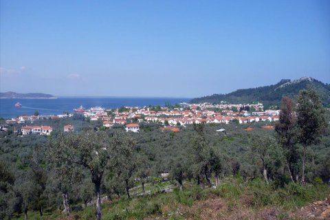 18250m² Land à Thasos, Greece No. 60441 1