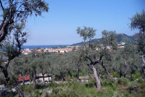 18250m² Land en Thasos, Greece No. 60441 3