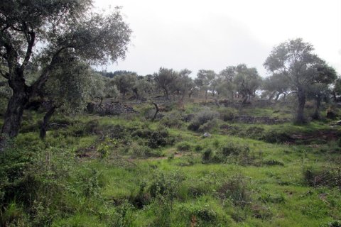 18250m² Land en Thasos, Greece No. 60441 4