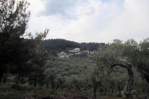 18250m² Land en Thasos, Greece No. 60441 5