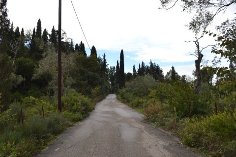 65000m² Land en Corfu, Greece No. 59345 7