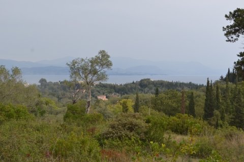 65000m² Land en Corfu, Greece No. 59345 5