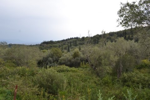 65000m² Land en Corfu, Greece No. 59345 2