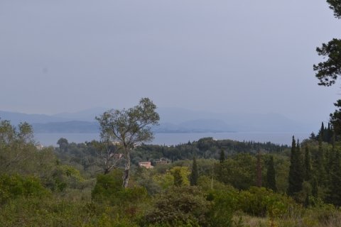 65000m² Land en Corfu, Greece No. 59345 1