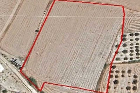 15000m² Land en Livadia, Cyprus No. 72973 1