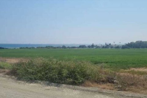 53744m² Land en Larnaca, Cyprus No. 72972 1