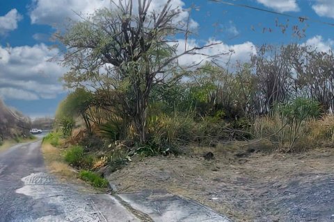 6394m² Land à Saint Joseph, Dominica No. 66293 7