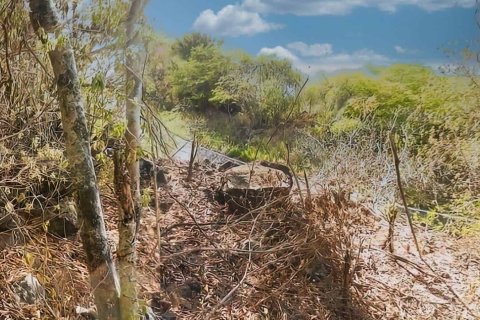 6394m² Land à Saint Joseph, Dominica No. 66293 6