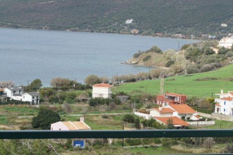 5 dormitorios Villa en Central Greece, Greece No. 65128 11