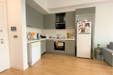 1+1 Apartment in Istanbul, Turkey No. 65274 2