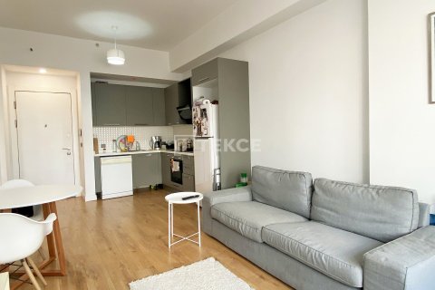 1+1 Apartment in Istanbul, Turkey No. 65274 9