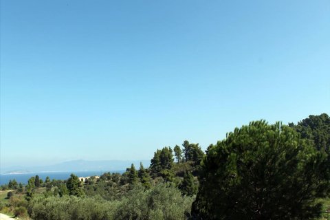 22500m² Land in Chalkidiki, Greece No. 60069 8