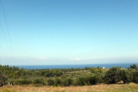 22500m² Land en Chalkidiki, Greece No. 60069 2