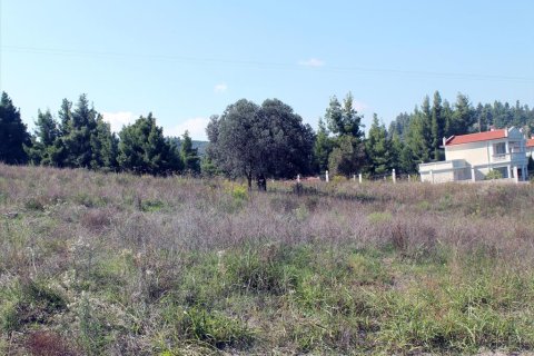 22500m² Land in Chalkidiki, Greece No. 60069 4