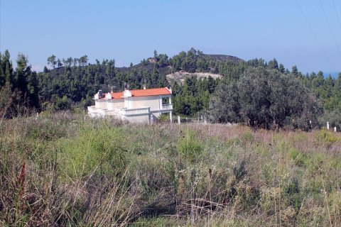 22500m² Land en Chalkidiki, Greece No. 60069 7