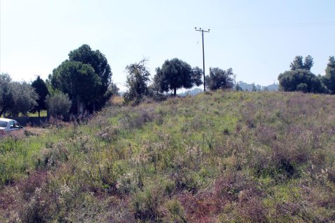 22500m² Land en Chalkidiki, Greece No. 60069 3