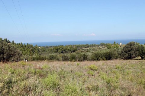 22500m² Land in Chalkidiki, Greece No. 60069 1