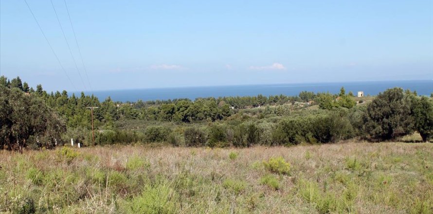 22500m² Land en Chalkidiki, Greece No. 60069