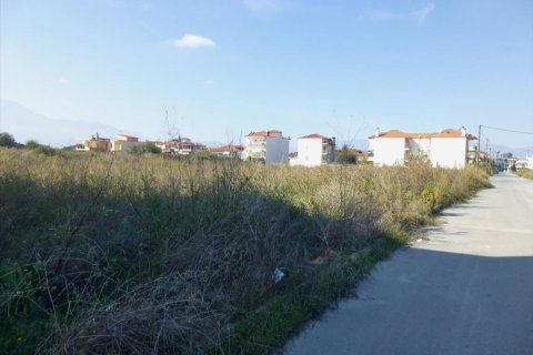 3950m² Land en Katerini, Greece No. 60064 2