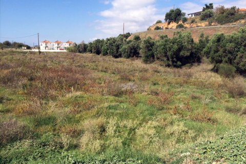 6822m² Land en Chalkidiki, Greece No. 60063 5