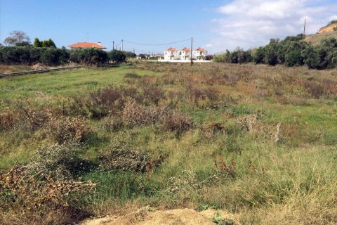 6822m² Land in Chalkidiki, Greece No. 60063 3