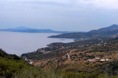 Land in Zakynthos, Greece No. 24778 19