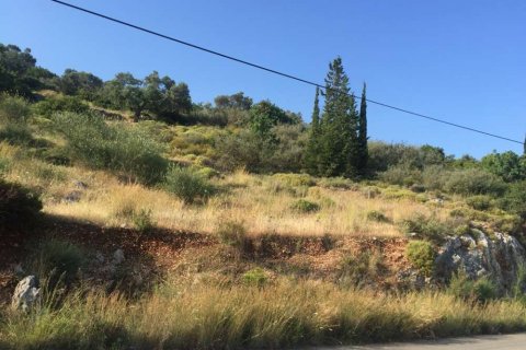 Land in Zakynthos, Greece No. 24778 8