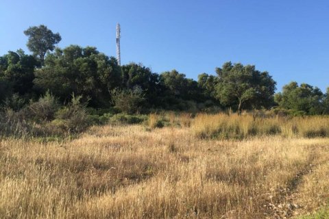 Land in Zakynthos, Greece No. 24778 14