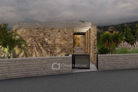 3 bedrooms Villa in Armou, Cyprus No. 62677 3