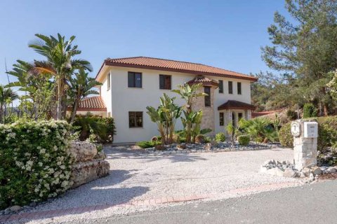 4 bedrooms Villa in Asgata, Cyprus No. 62675 16