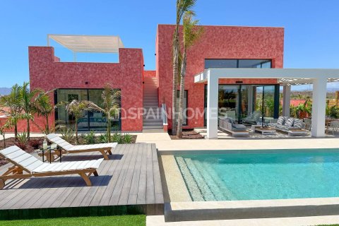 4 bedrooms Villa in Cuevas del Almanzora, Spain No. 26260 1