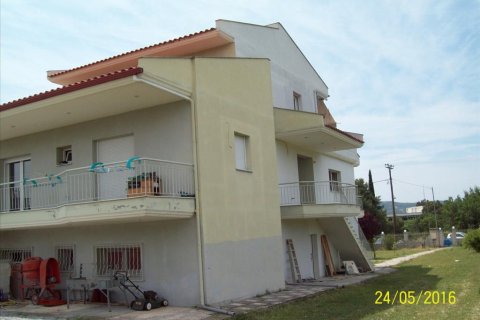 5 bedrooms House in Vasilika, Greece No. 58787 4