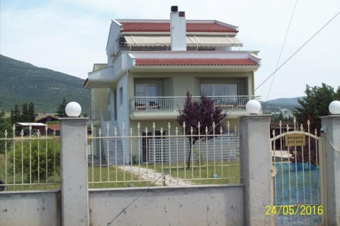 5 dormitorios House en Vasilika, Greece No. 58787 7