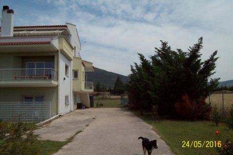 5 chambres House à Vasilika, Greece No. 58787 5