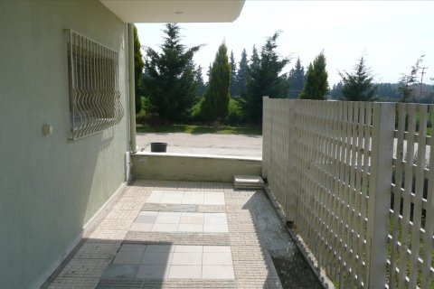 5 chambres House à Vasilika, Greece No. 58787 30