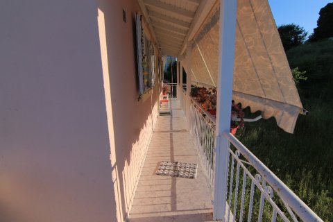 500m² Negocio en Corfu, Greece No. 58783 3