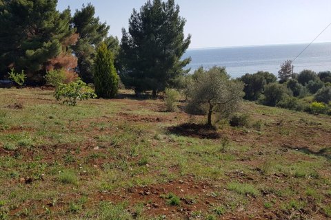 6500m² Land en Polygyros, Greece No. 58782 12